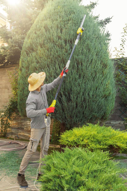 Reliable Punta Rassa, FL Tree Removal and Landscaping Services Solutions